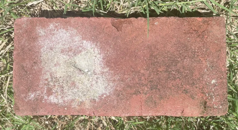 A weathered thurber red brick with white efflorescence patches on the left side, lying on green grass, showing cracks and discoloration from moisture exposure.