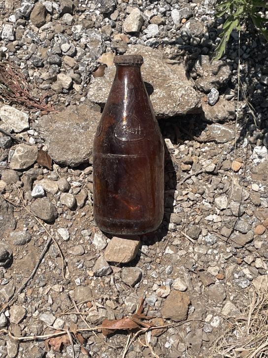 Old Pearl beer bottle lying on rocky ground in sunlight